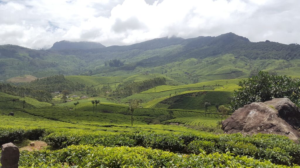 munnar-4796051_1920